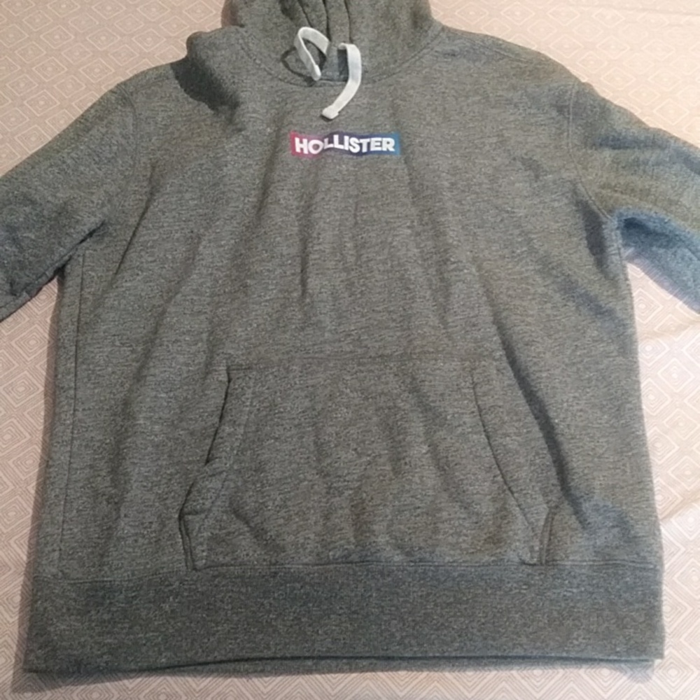 HOLLISTER hoodie sweatshirt.  Size L Bought For Son Didnt Fit Basicly New WO Tag